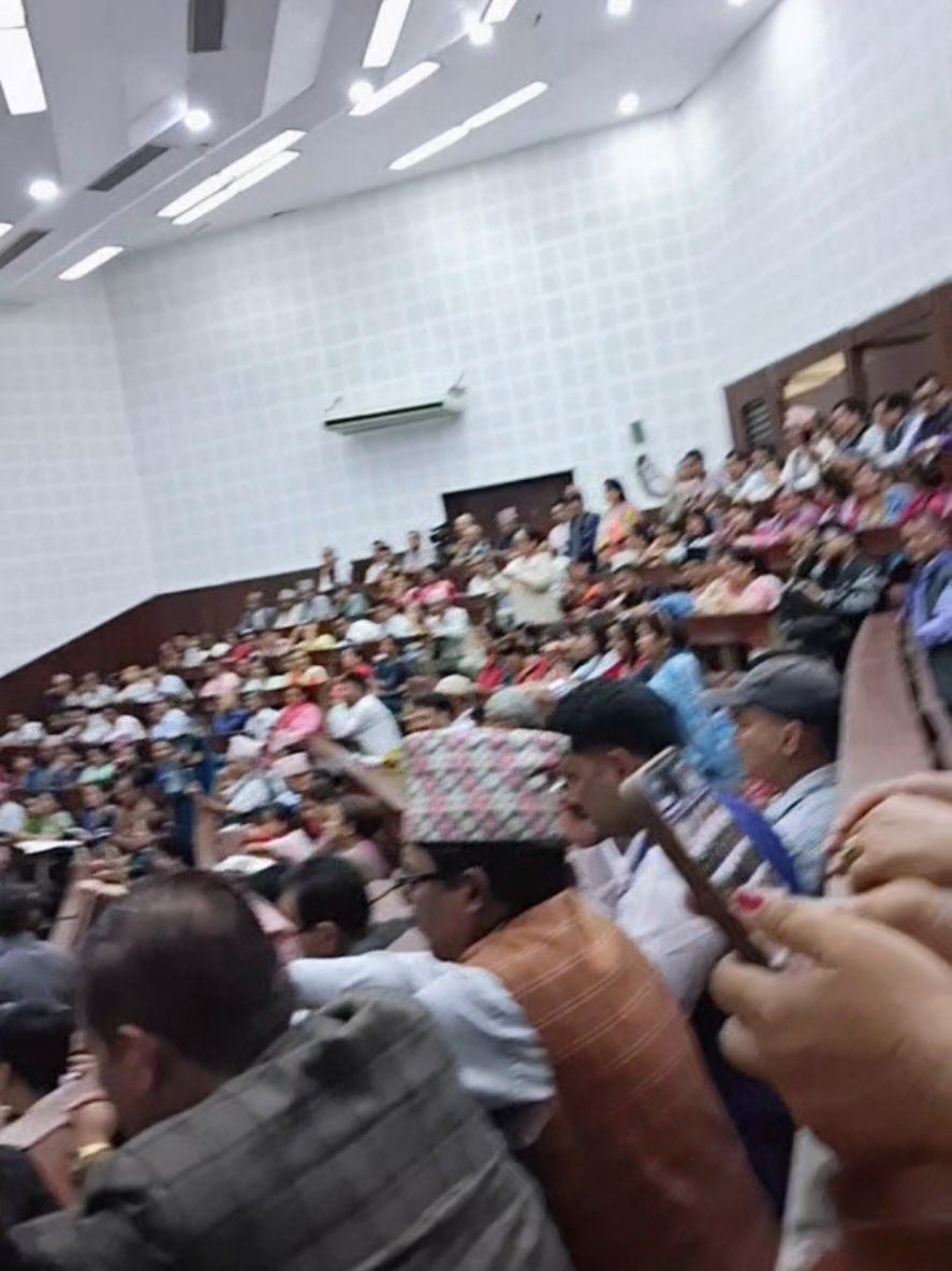 @Nanu-Pangeni