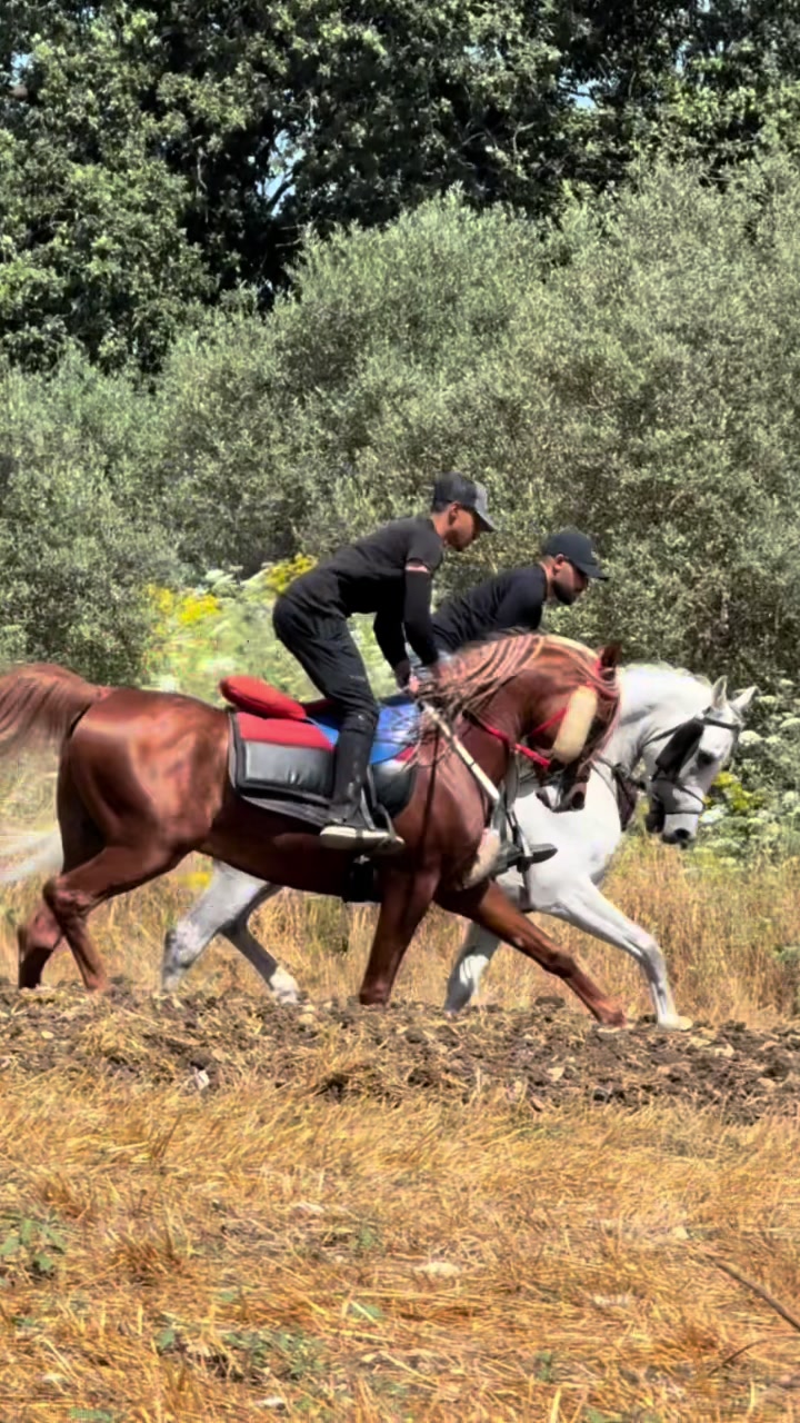 @חוסיין כעביה🐎