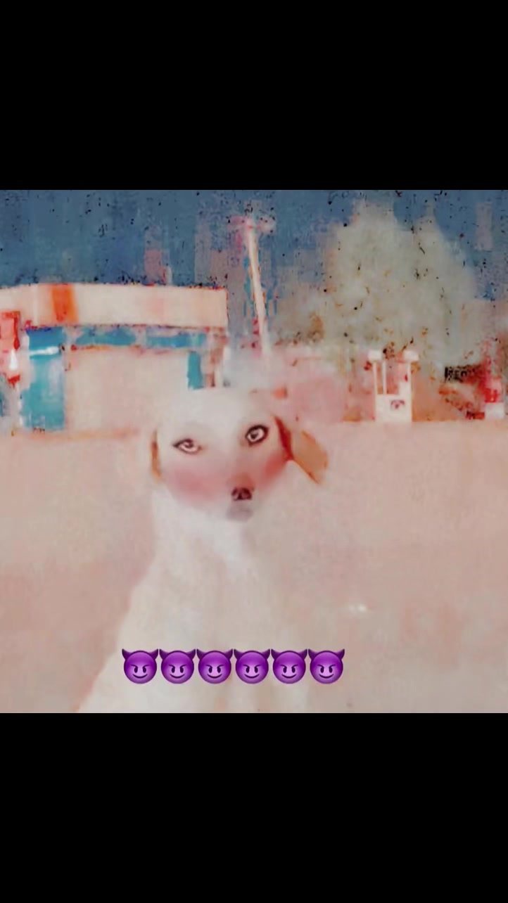 @๐ููุงุจ ุงูุดูุงุฑุน๐