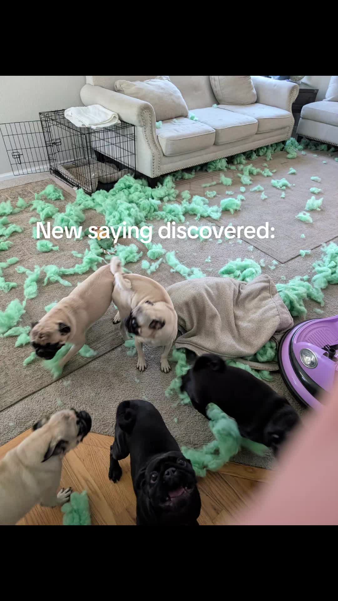 @BlueEyeBulldozer