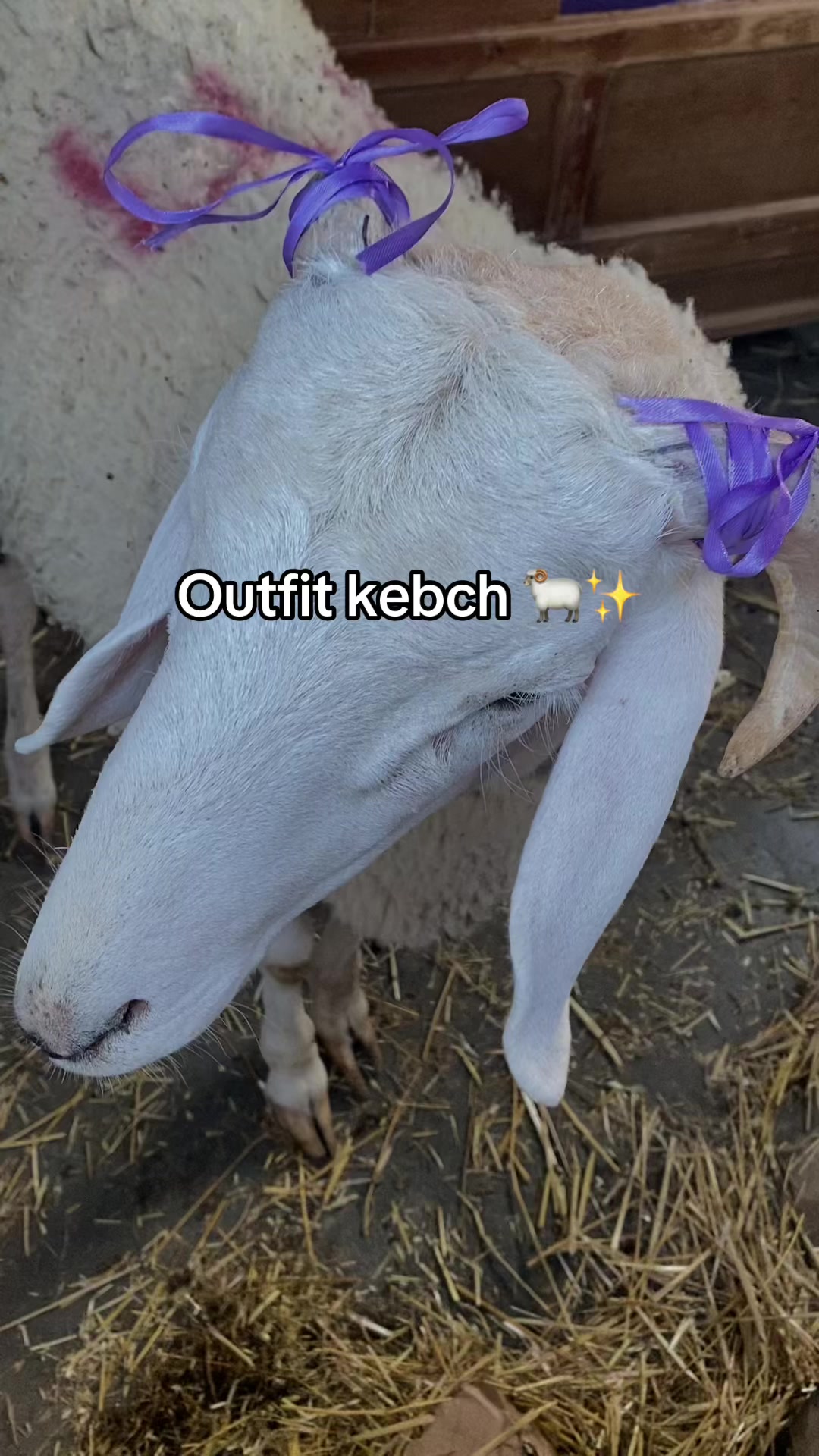 @K….🦋✨