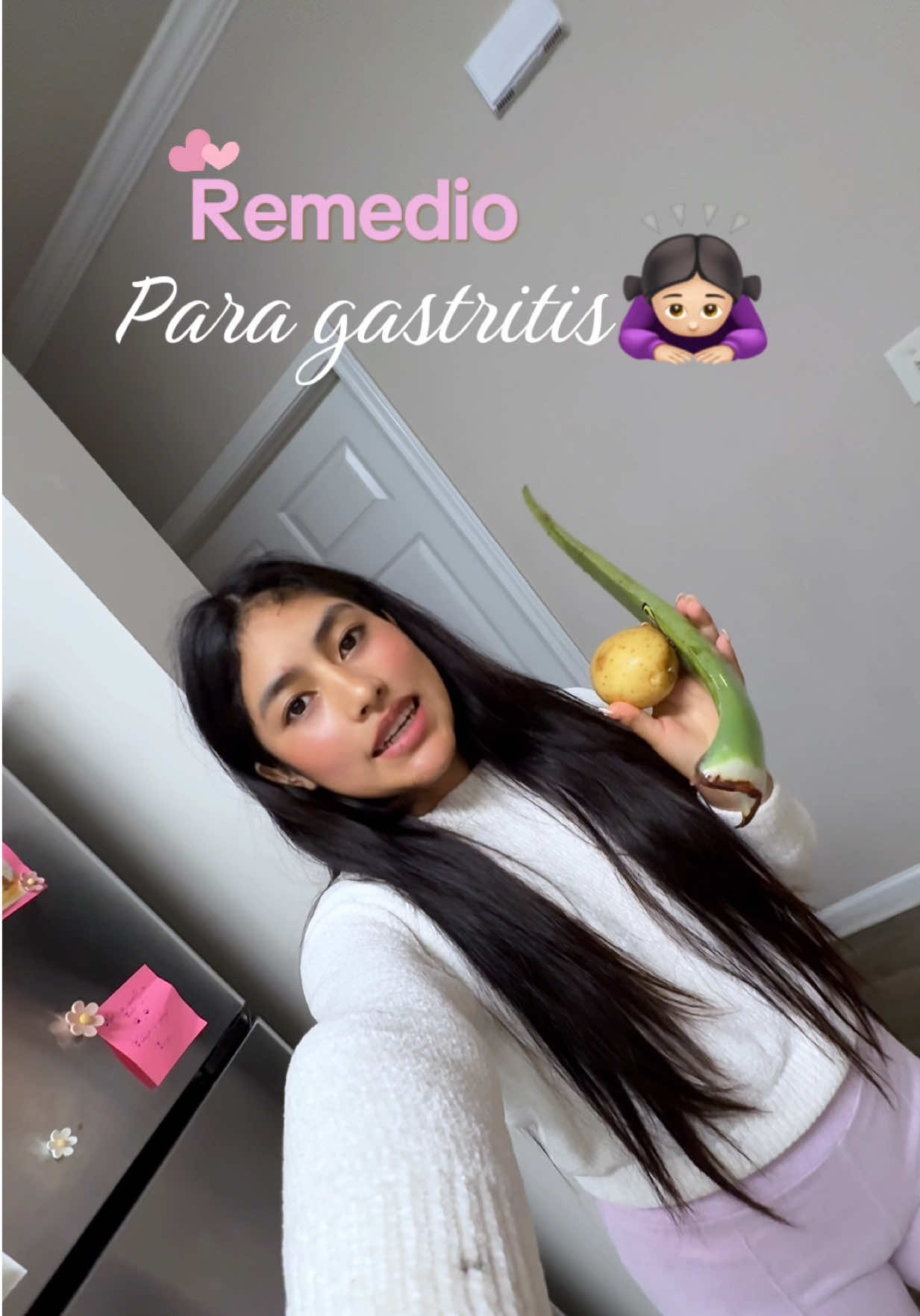 @Lisbeth Suasnabar | Mini vlogs