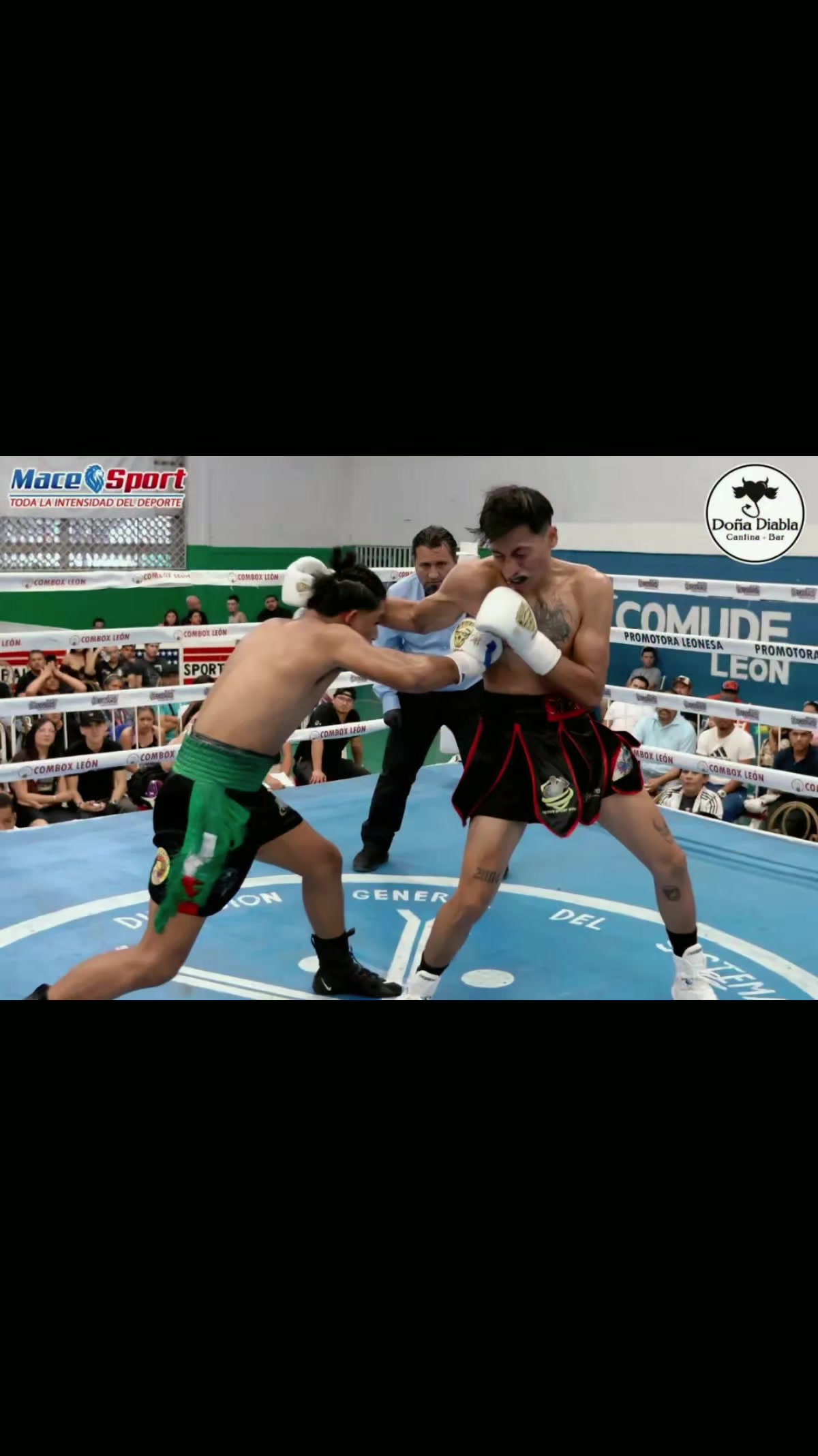 @Carreras Boxing Master
