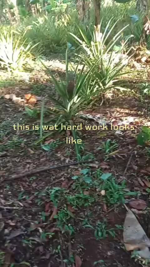 @natslock