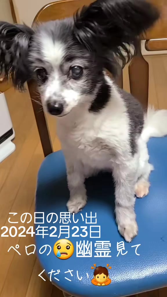 @ひろし❗️