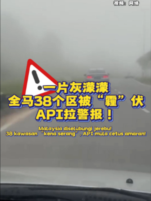 @中国报