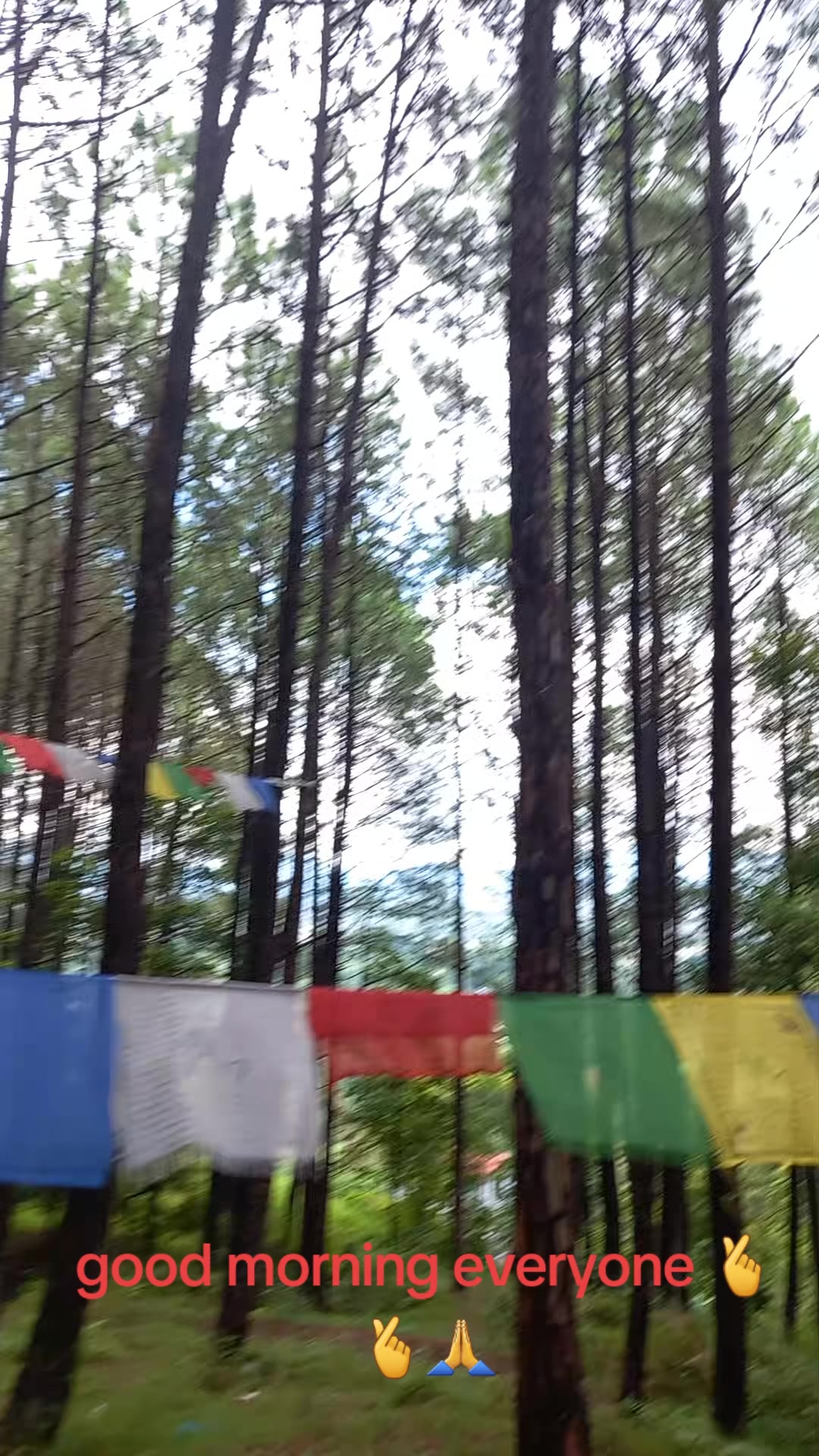 @दुर्लभ काईलो छोरो म 🤗🫰🙏