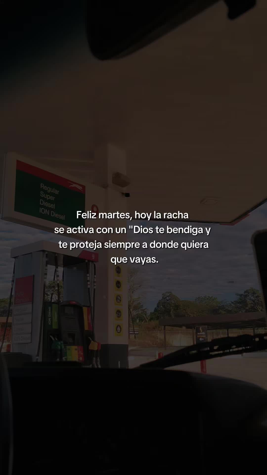 @Linda Cardona 🪼🪐
