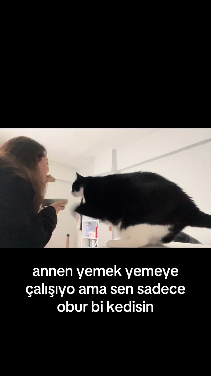 @vetzeymed