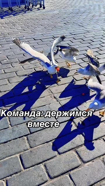 @Тихая 😎