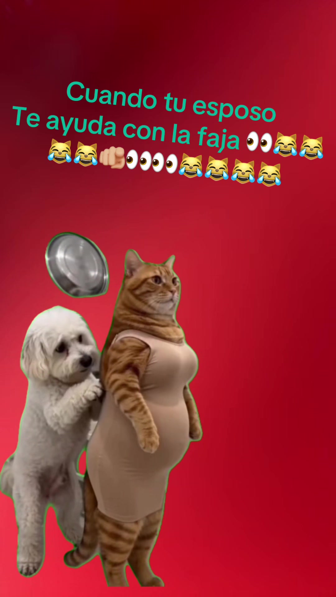 @Lili recomienda
