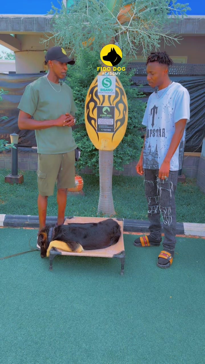 @Dog Master