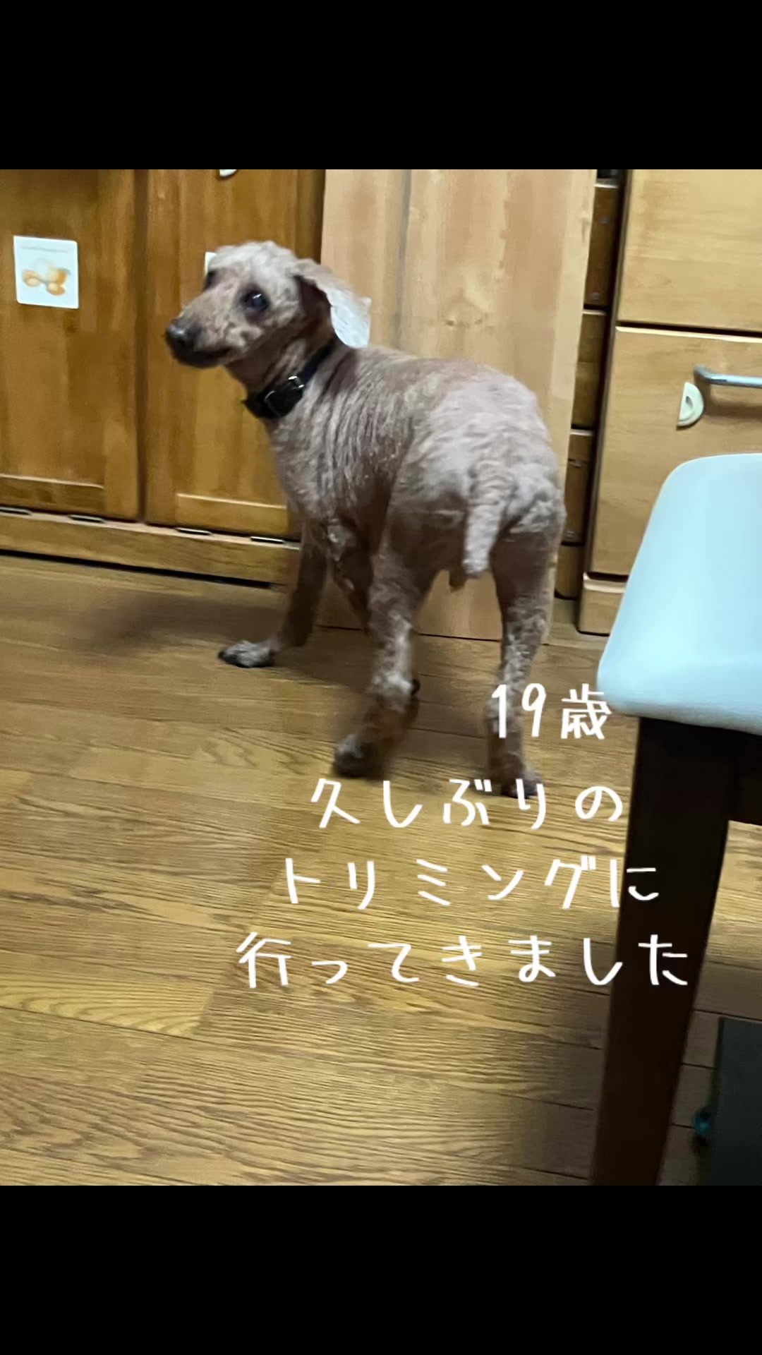 @ルイママ