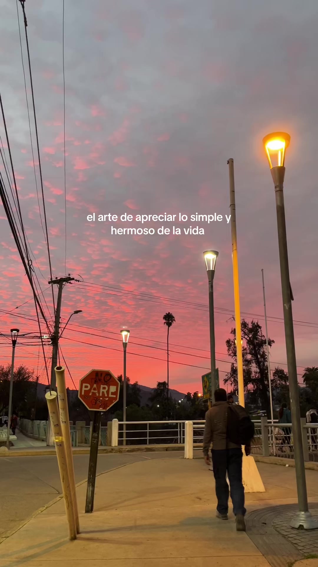 @️ Priss🌙