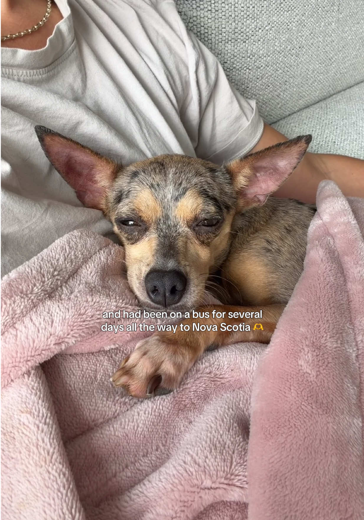 @🧁 snarly carly