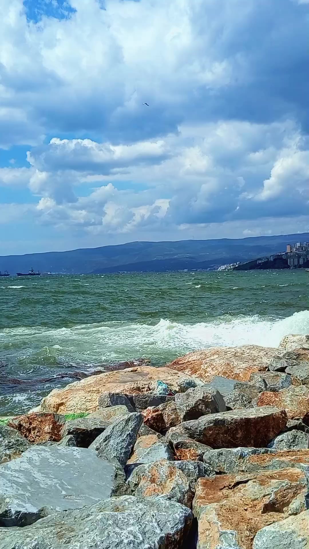 @🕊️_Egana_Shakh_🕊️