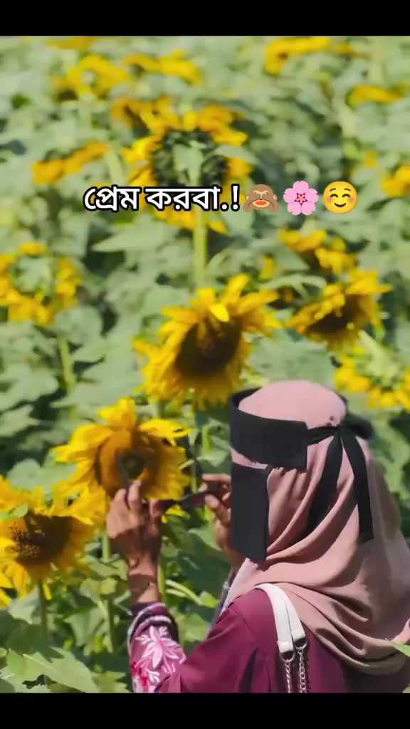 @Akhi Moni