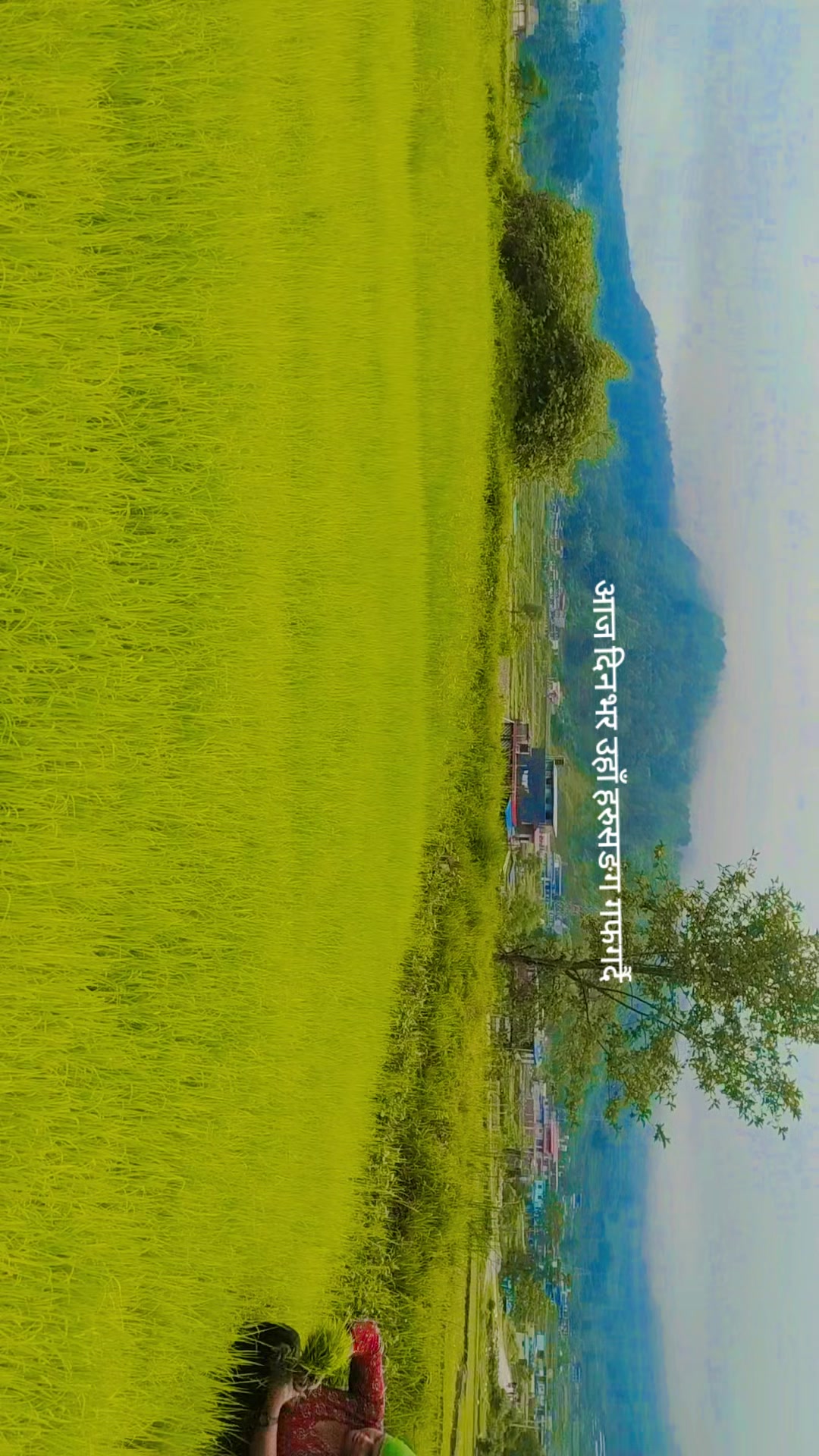 @Munu Poudel