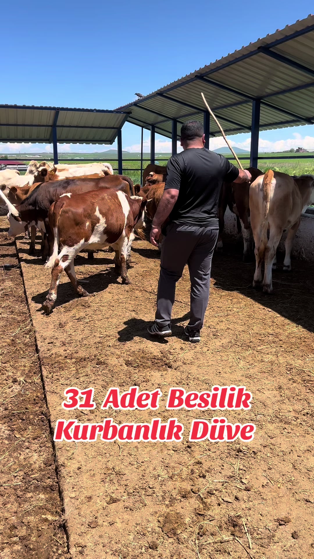 @👑KARSDOĞUBESİCİLİK05536304236