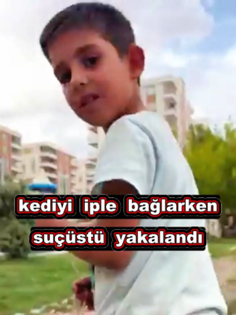 @kedifanatikleri