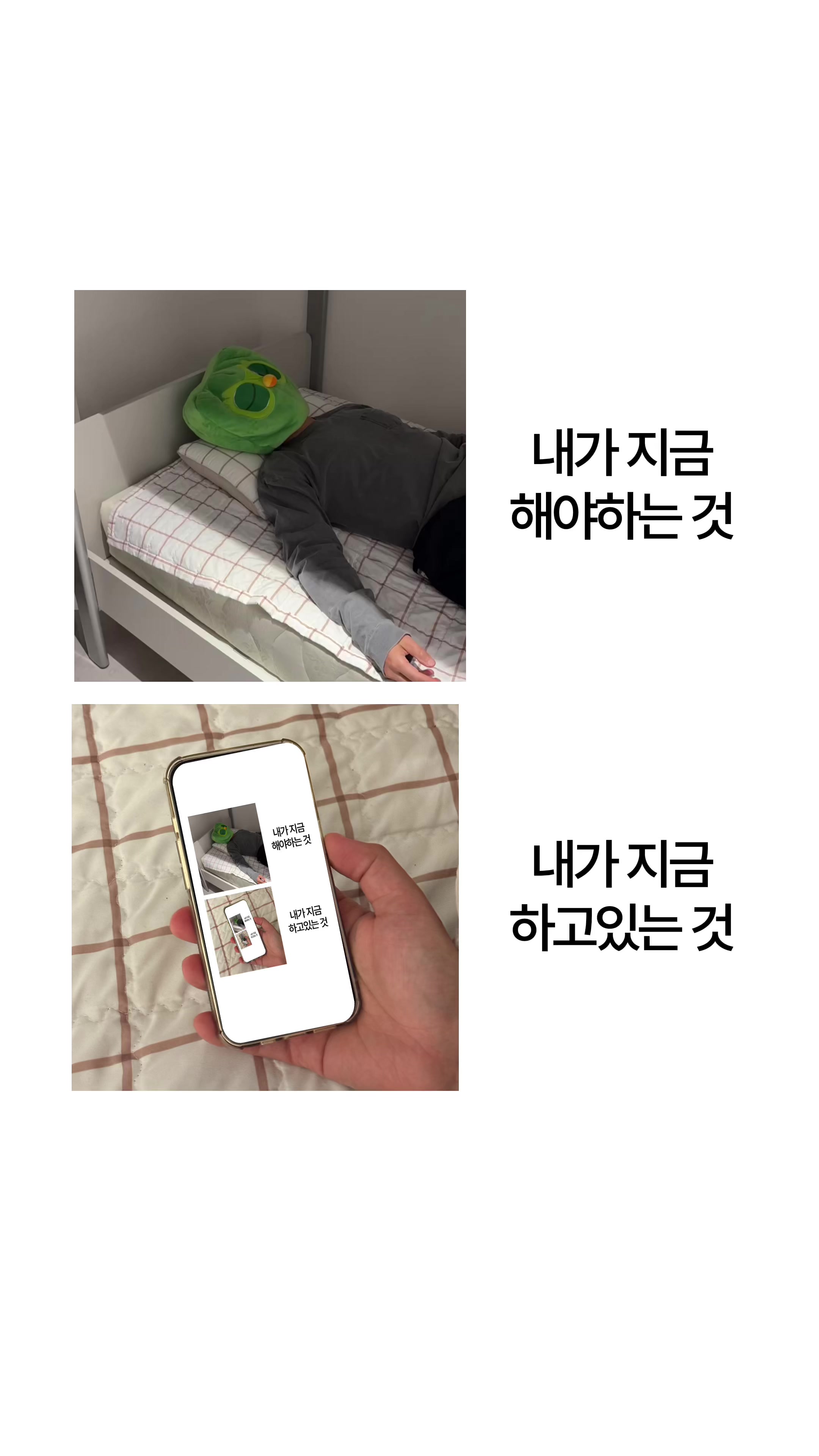 @duolingokorea