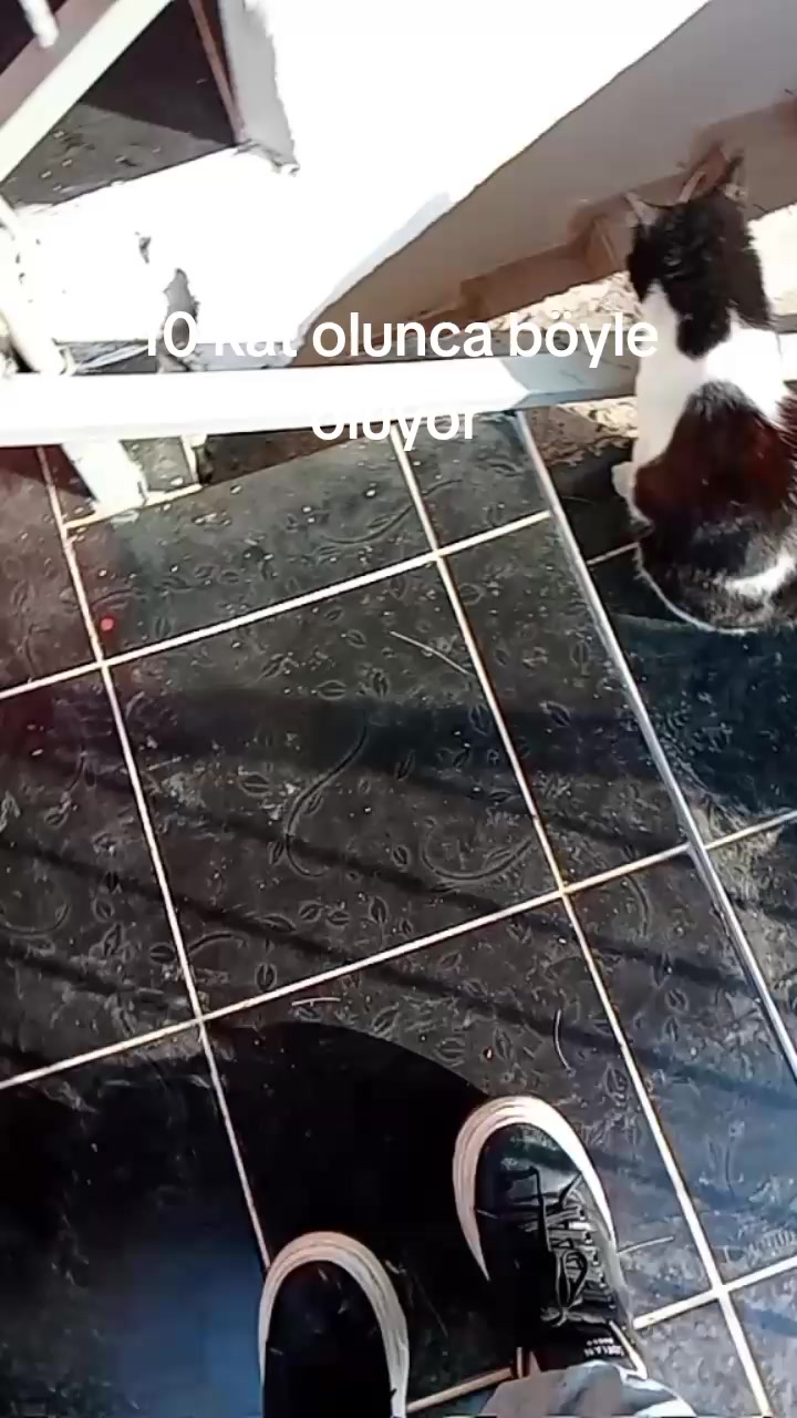 @Cemre Naz Babalı