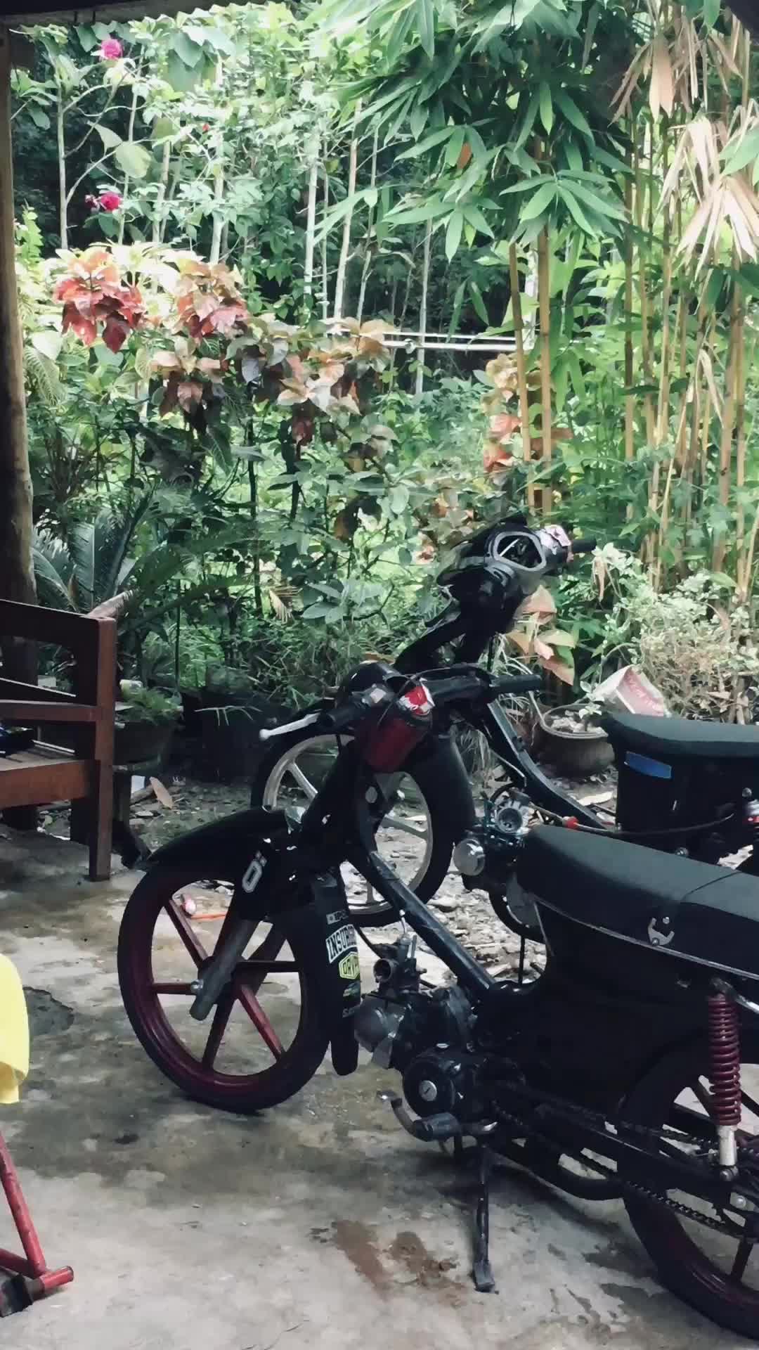 @seventeen