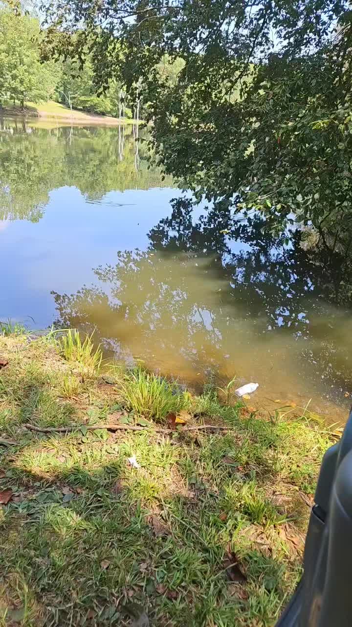 @BIGG BOYY FISHING