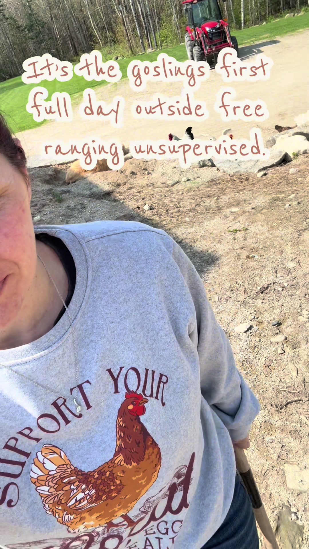 @money.pit.ranch