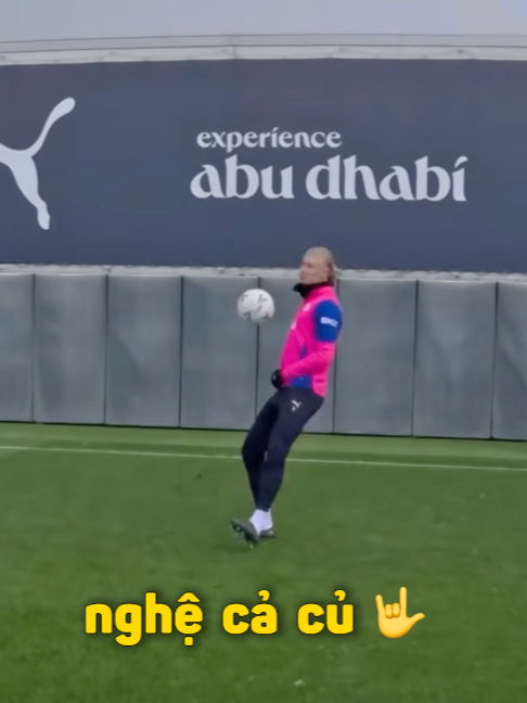 @9TB meme về Erling