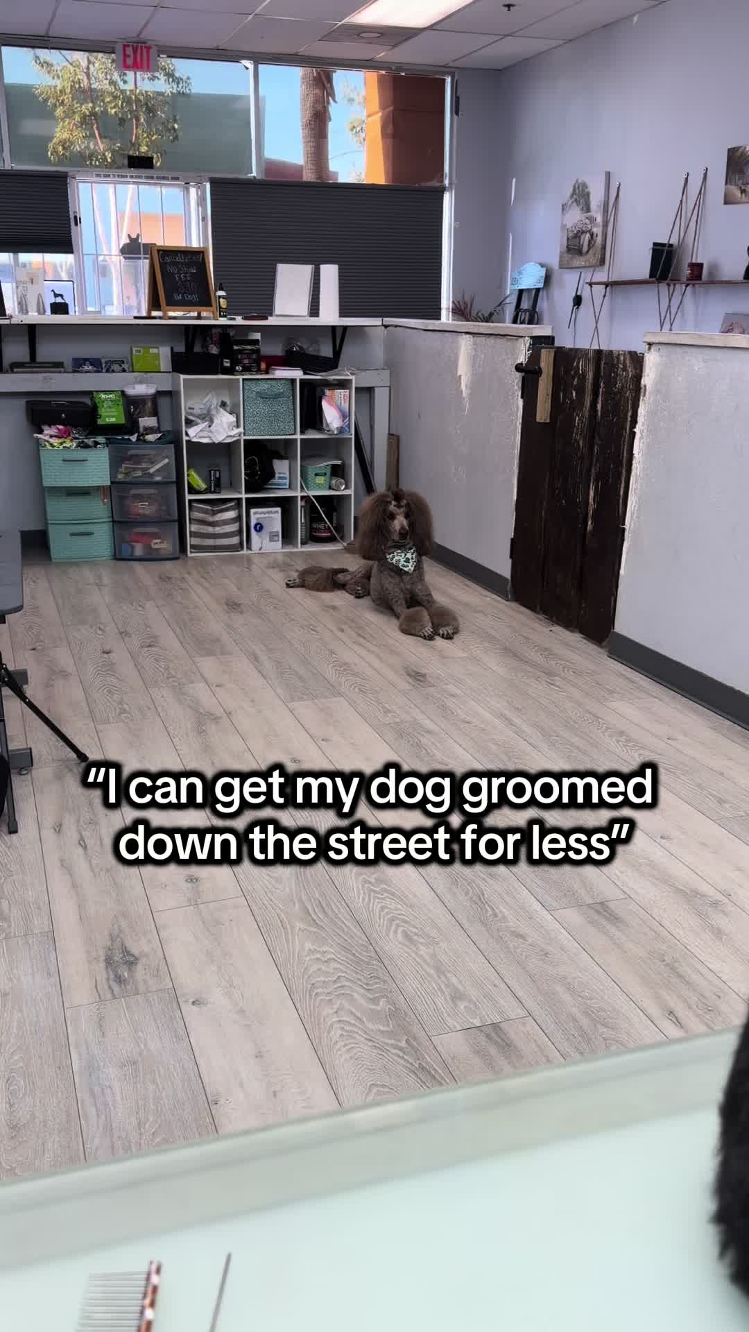 @Kelly&rsquo;s pet&rsquo;s