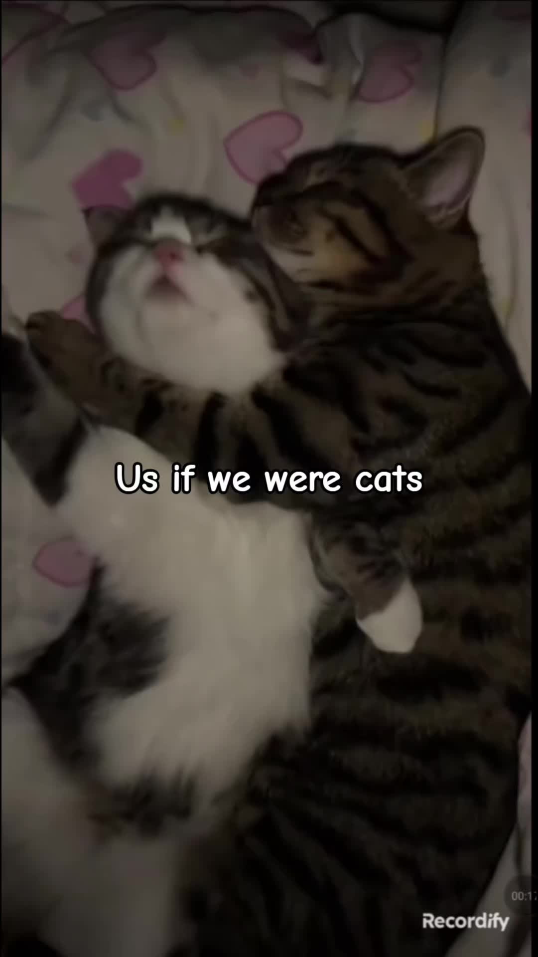 @cailynn and dale 🫰🤞