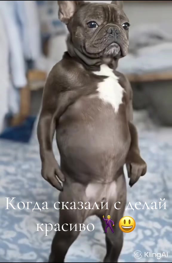@катя1489