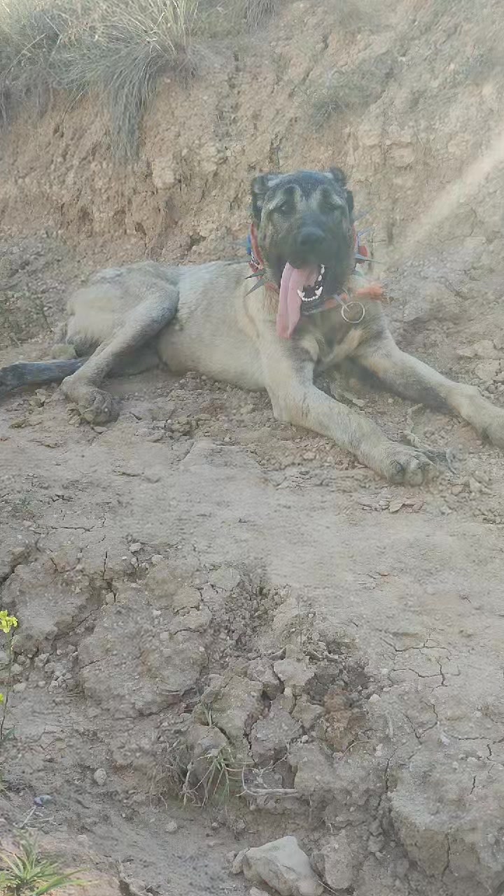 @🇹🇷 Murat Çıtak 🇹🇷