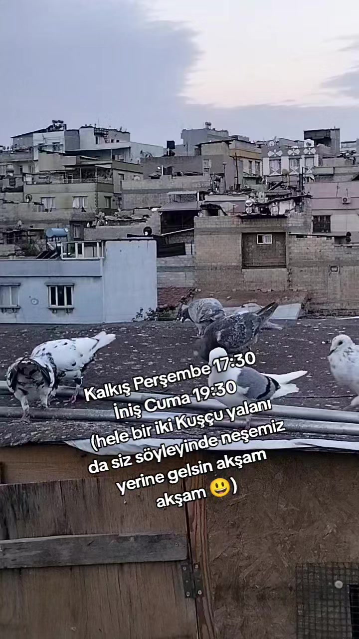 @Ertuğrul&Alparslan(Doktor)