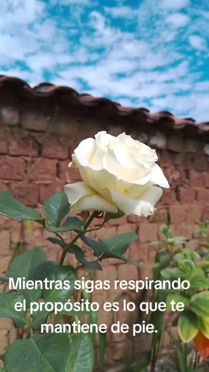 @Confianza Peru 2026