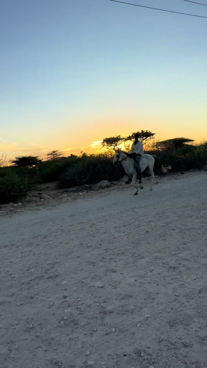 @Duliyaha🐎diyaradadhulka🇸🇴🐎