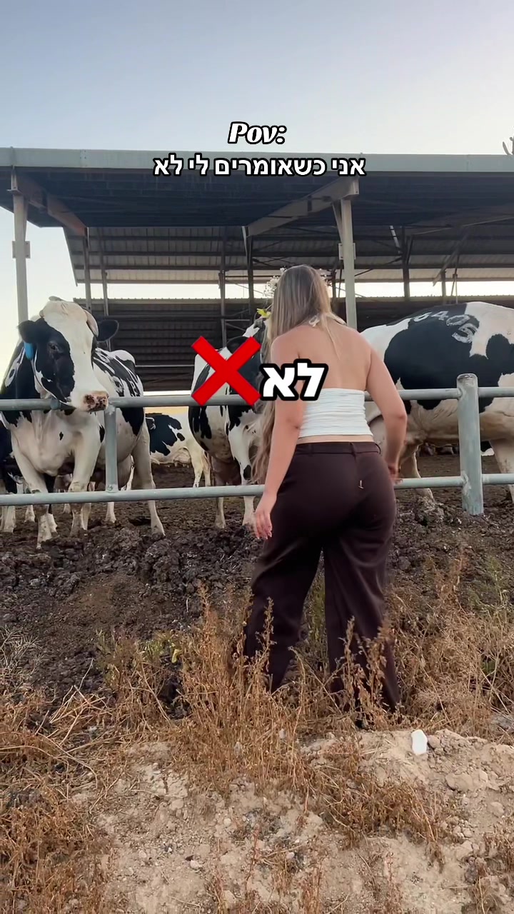 @ליאם קיי🐚