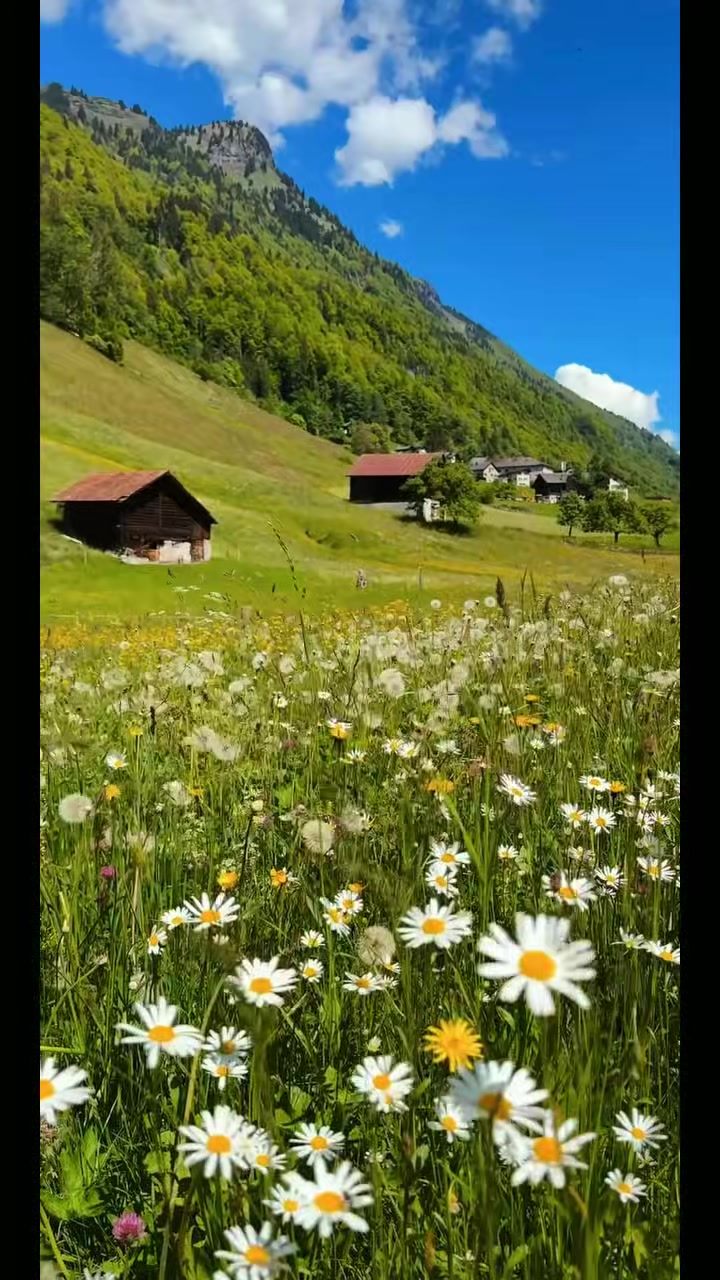 @Nature vibes