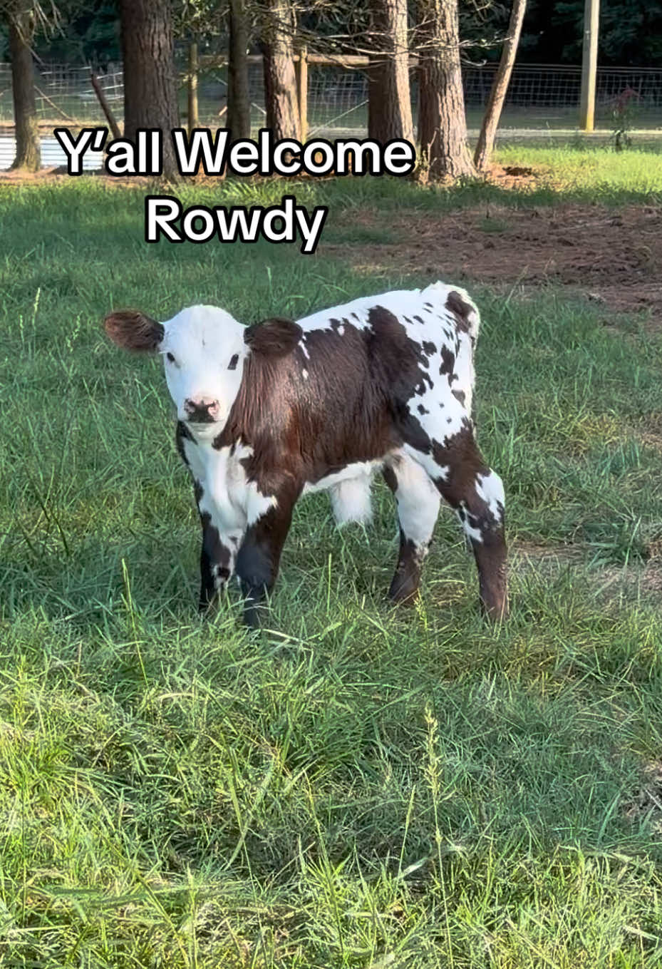 @Georgia Farm Girl