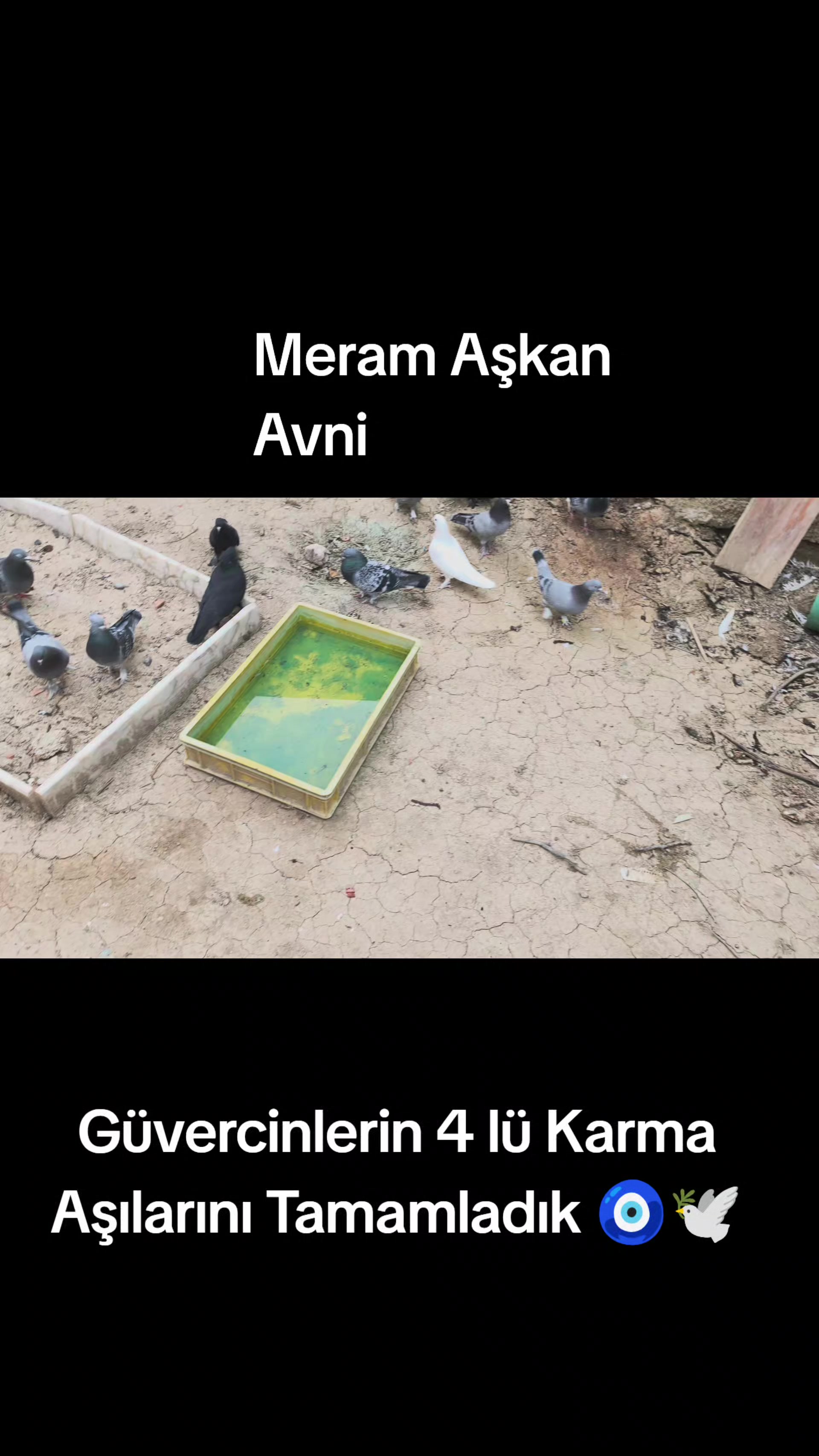 @G&Uuml;VERCİNLERE FISILDAYAN ADAM