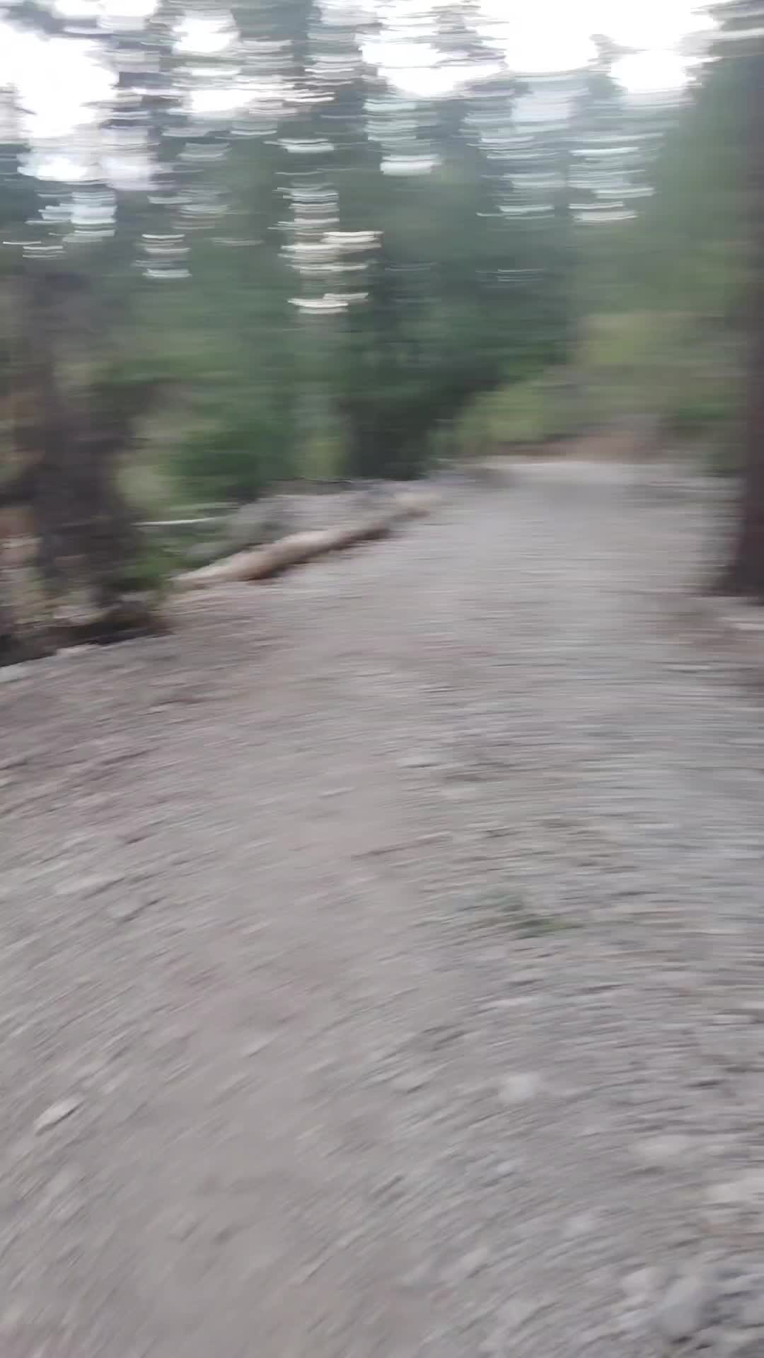 @KAR