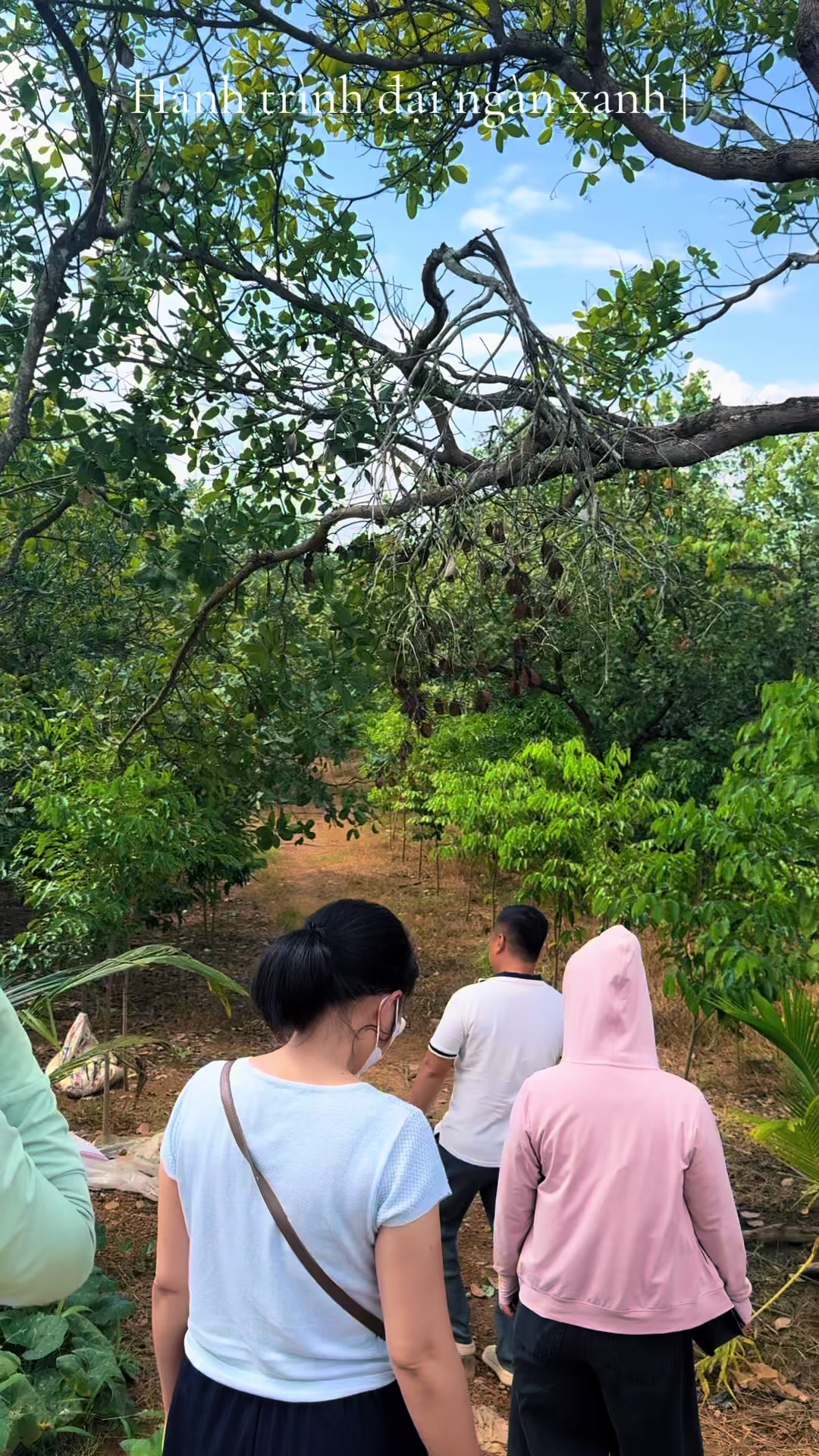 @Dó Đen Việt !