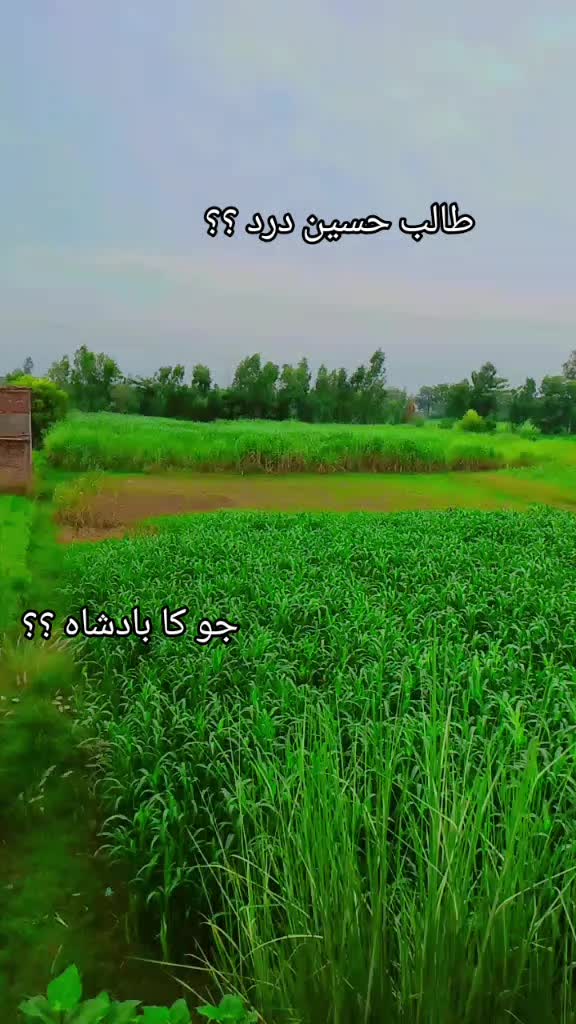 @hsasnAli804🥷🚩
