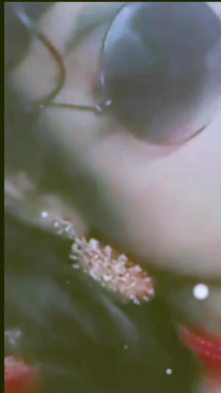 @tulsi __🫶❤️&zwj;🩹__sagar