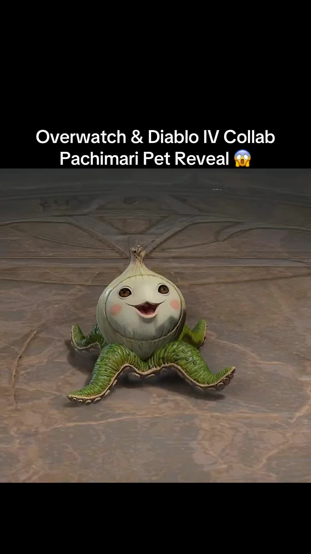 @Tokki 🐰