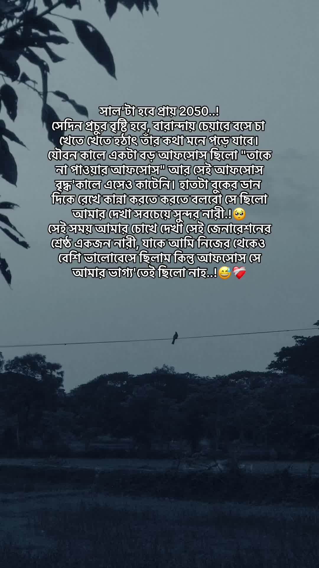 @the_spydoo🕸️ 🥏