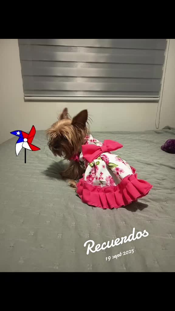 @martamillan772