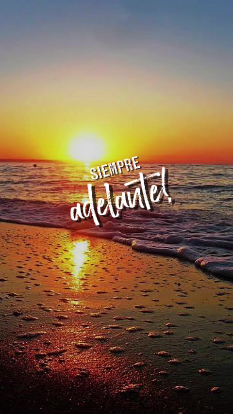 @Rocio Aleman