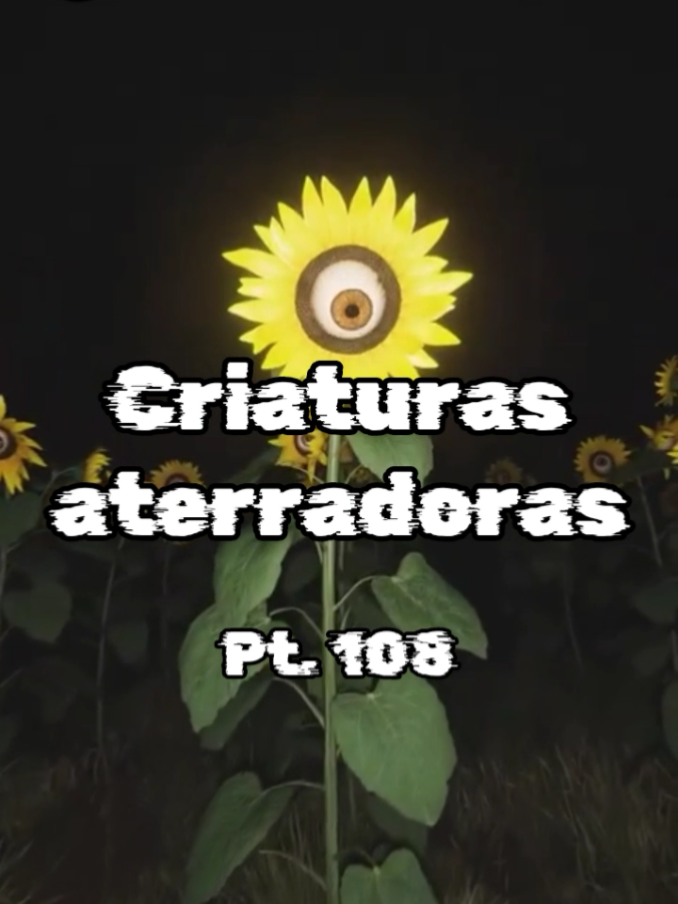 @Categorías Máster